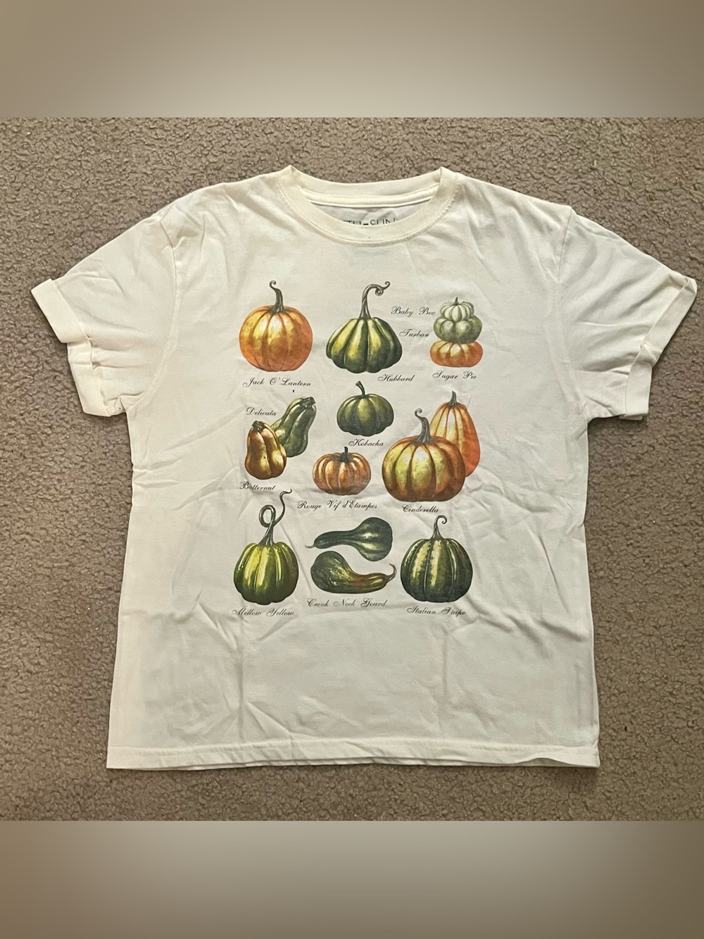 Fifth Sun autumn harvest fall pumpkin gourd squash graphic t-shirt x-small